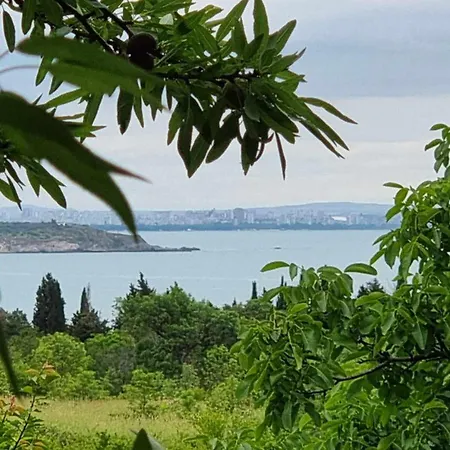 Mihnevi Πανσιόν